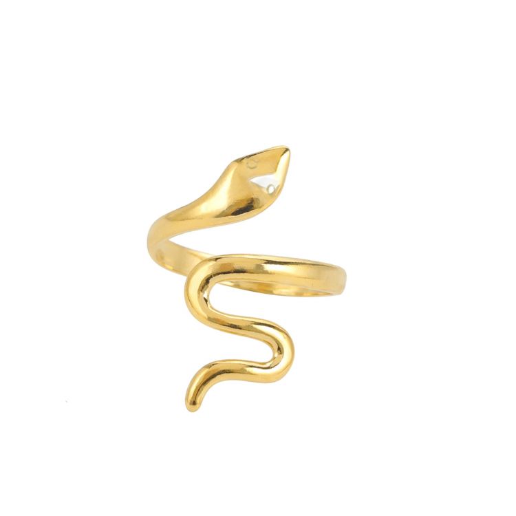 ANILLO VIBORA
