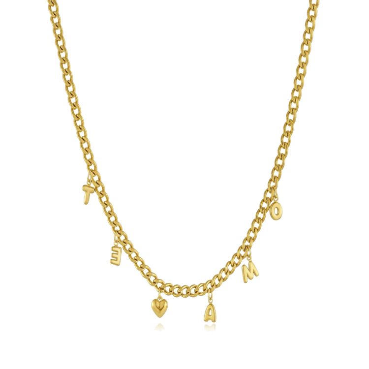 COLLAR DE ACERO "TE AMO"